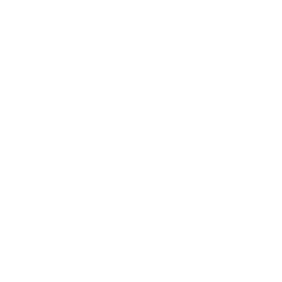 Team Seven